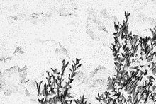 Presente soluble (diptych)