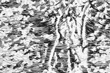 Presente soluble (diptych)