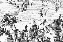 Presente soluble (diptych)