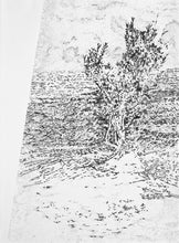 Presente soluble (diptych)