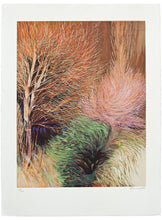 Paisaje